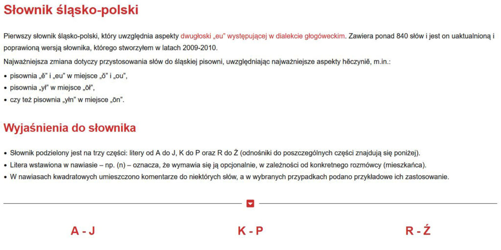 Zrzut ekranu prezentujący ogólny opis słownika.